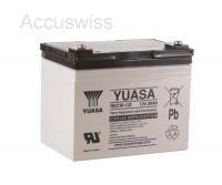 Yuasa REC36-12I 12V 14Ah zyklischer Blei-Akku