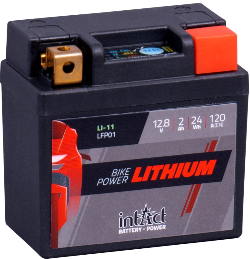 24191_087vom4Dk3r4IP Intact LI-11 LiFePo4 remplace la batterie LFP01 92 x 52 x 90mm