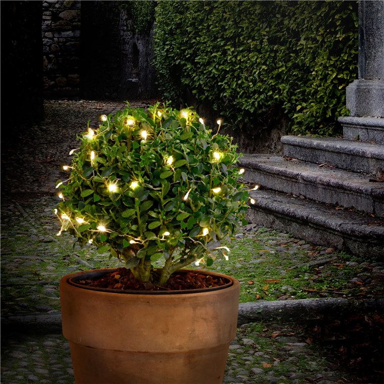 27243_1UkeFYx3P5zt5X 50er LED-Silberdraht-Cluster-Lichterkette