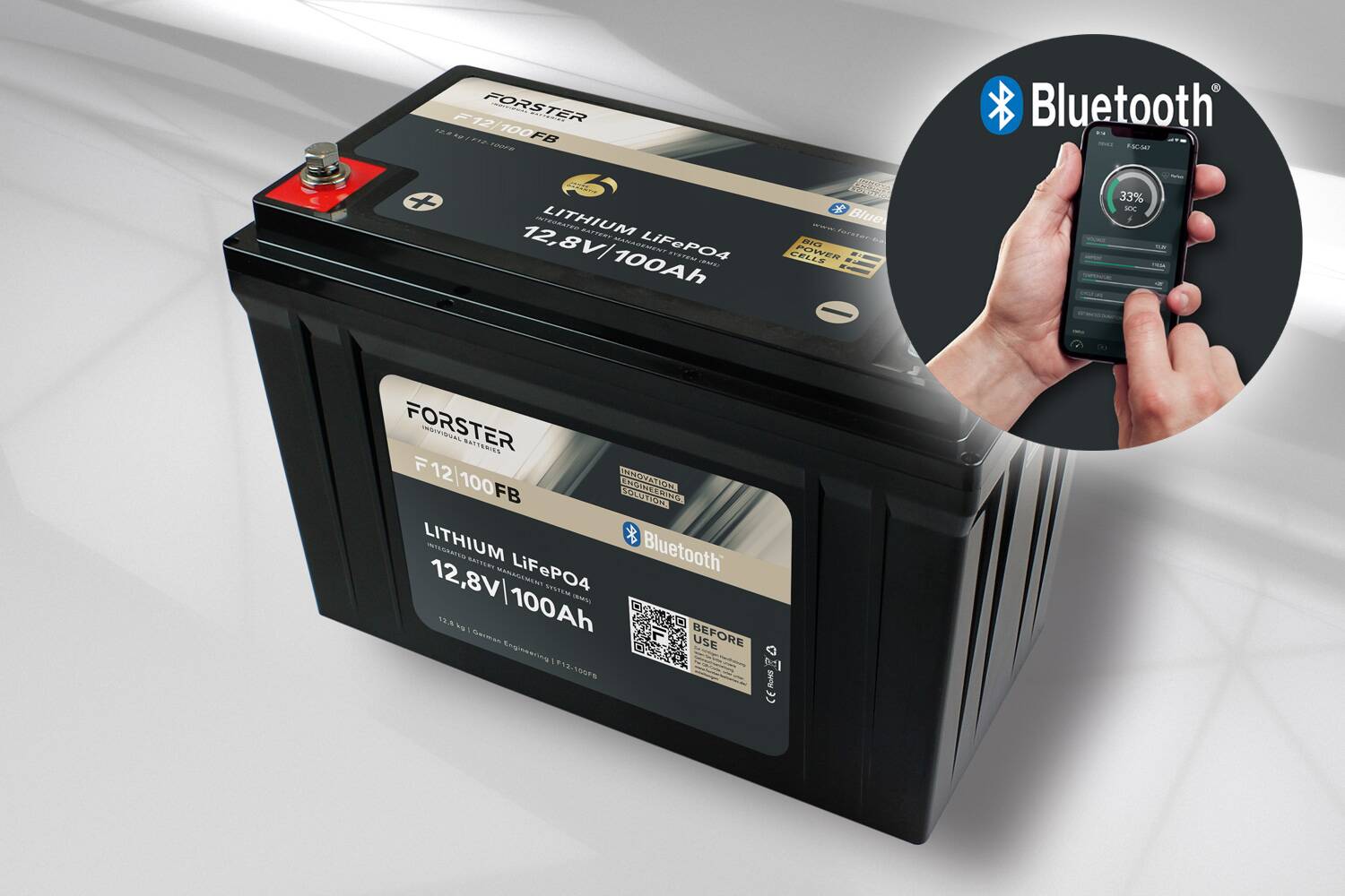 24569_0JyiZtp6IWiIPa 12V 100Ah LiFePO4 Standart Caravan Batterie mit Smart Bluetooth